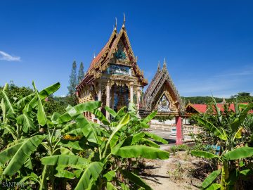 Wat Na Klang