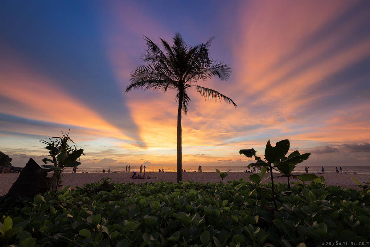 Palm trees with a colorful sky in the background
