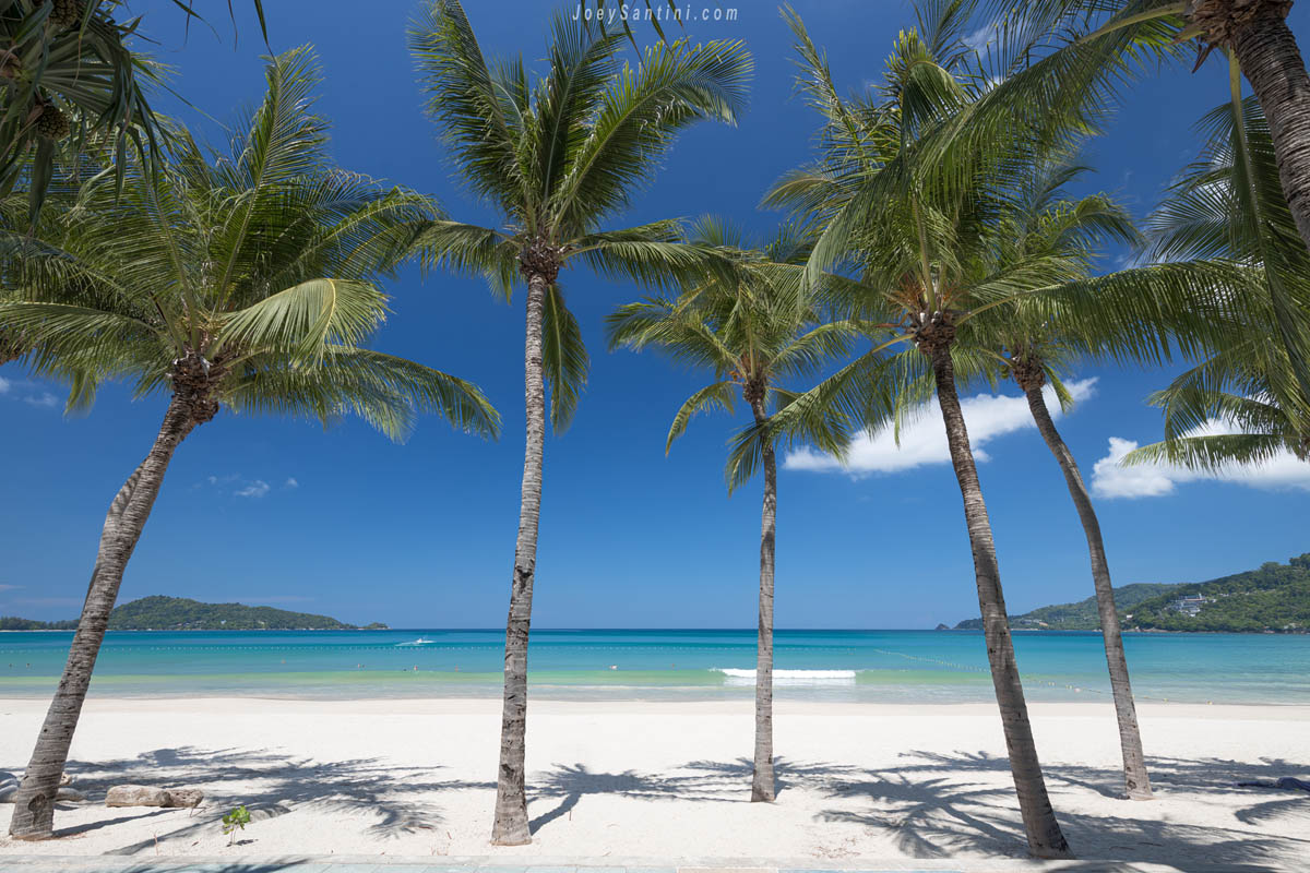 Palm trees, white sand and ocean with blue sky in the background