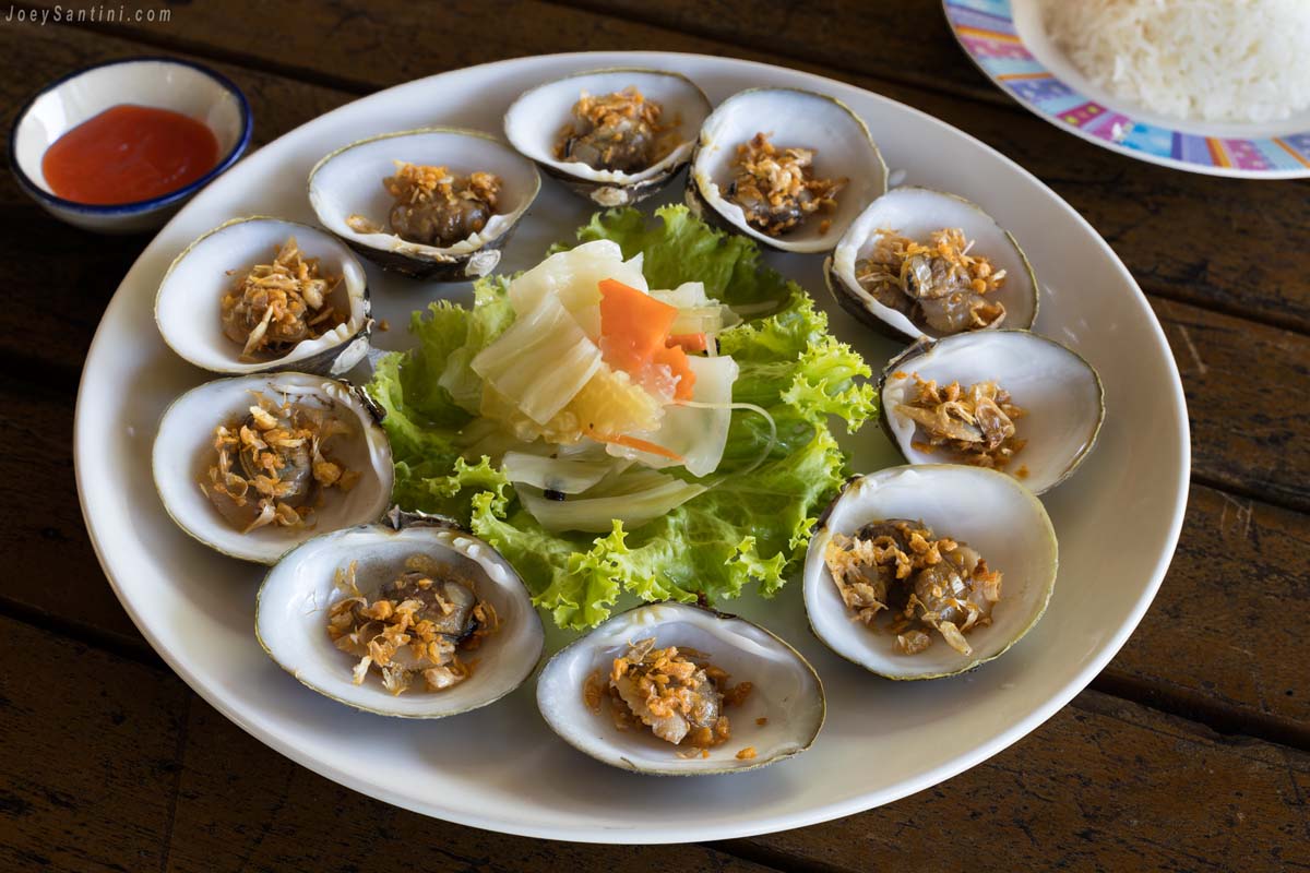10 shells with green salad on a plastic plate