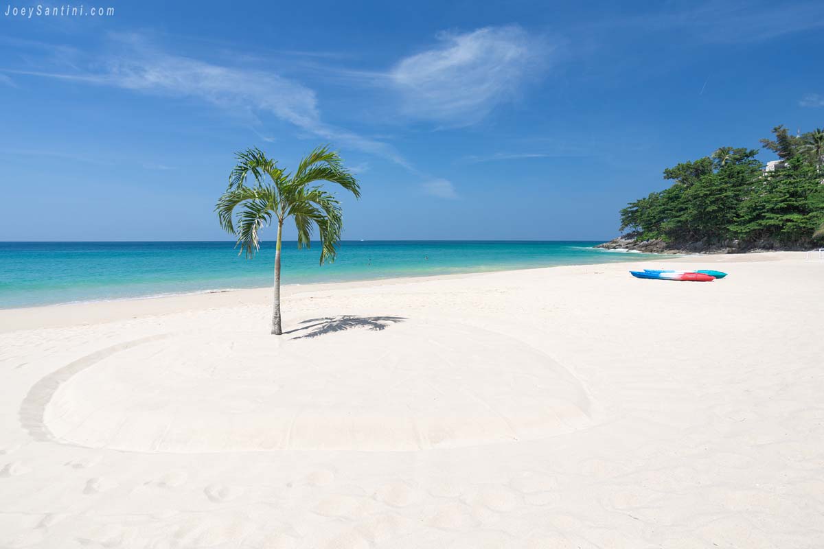 Shot of the white sand with a palm tree of Naithon Noi beach