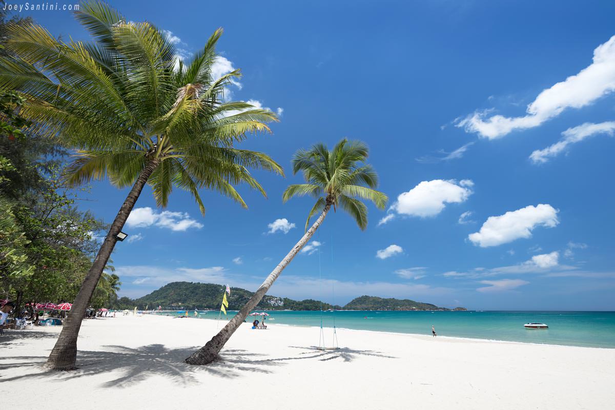 Shot of palm trees and white sand of Patong beach beach with blue sky in the background