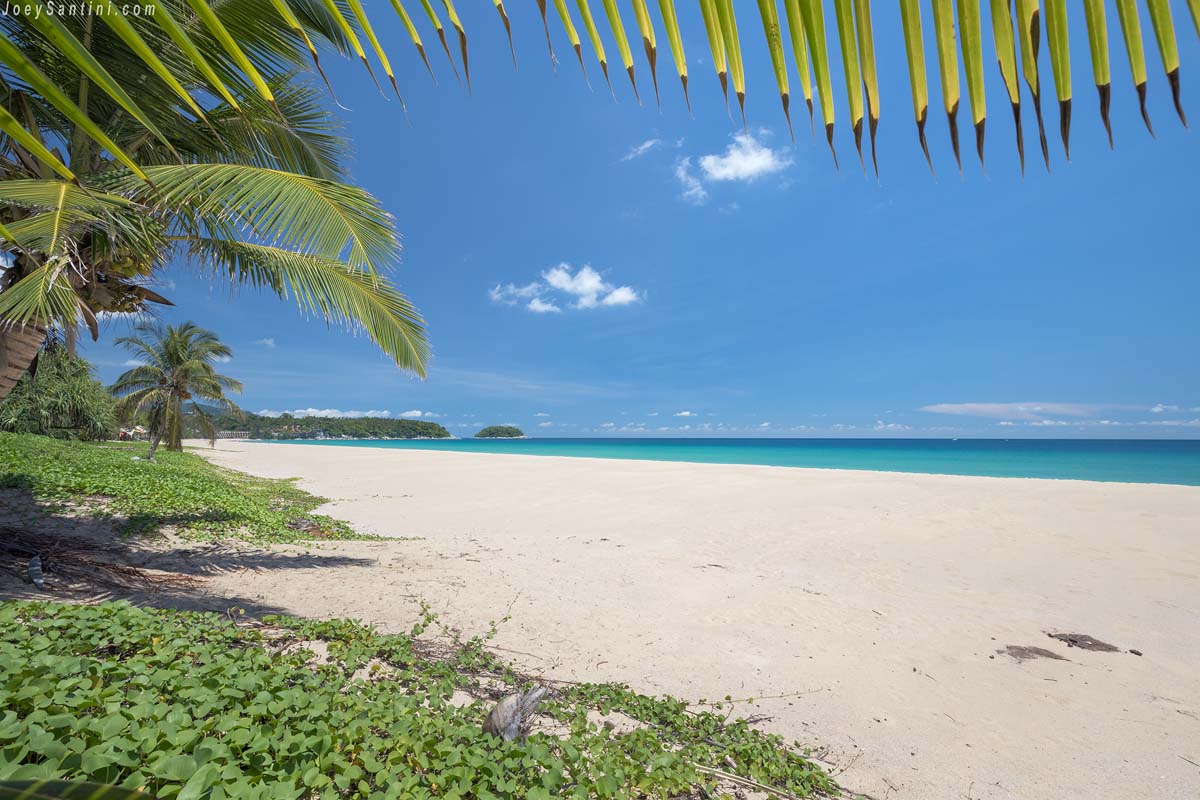 Shot of white sand and green palms of Karon beach