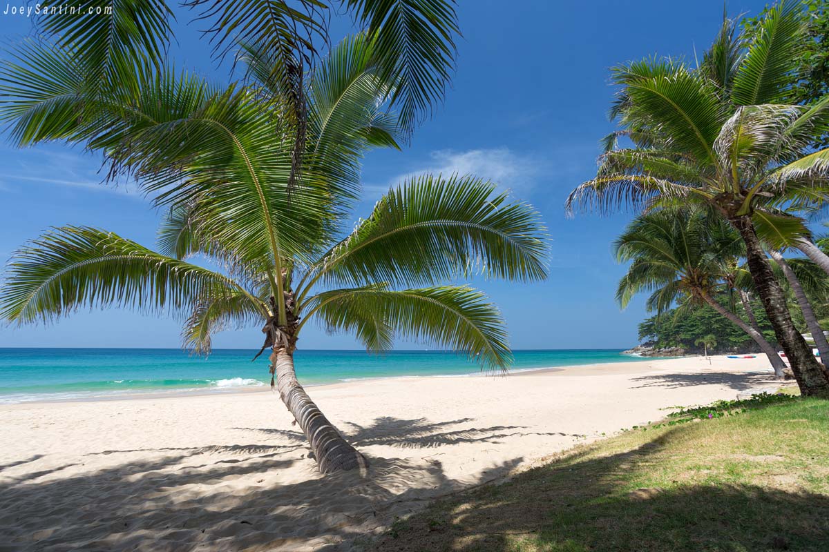 Shot of the palm trees and white sand of Naithon beach