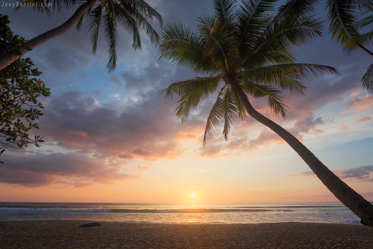 Shot of the palm trees on Pansea beach with a colorful sunset in the background