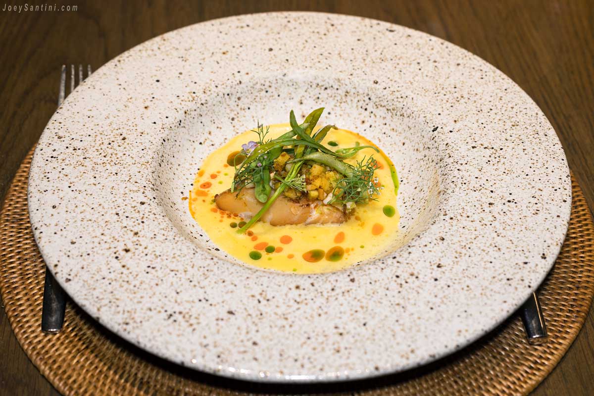 Shot of a grouper with yellow sauce on a white plate