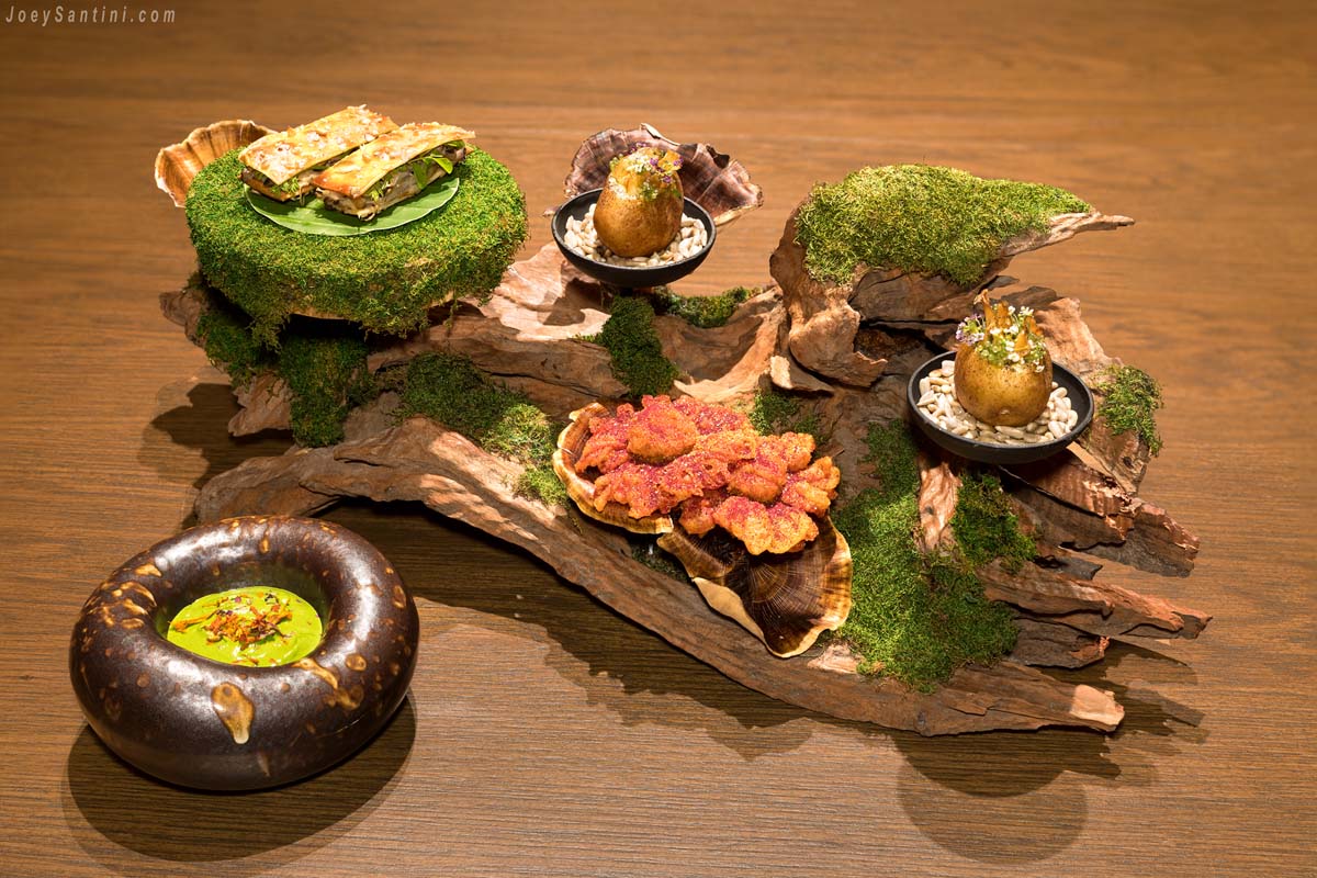 Shot of 4 snacks served on a wooden trunk