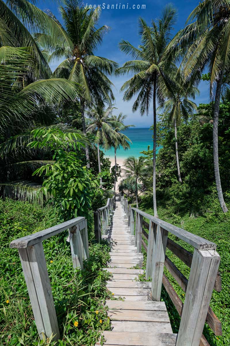 Iconic wooden stairs surrounded by green coconut palms leading to Naithon Beach in Phuket