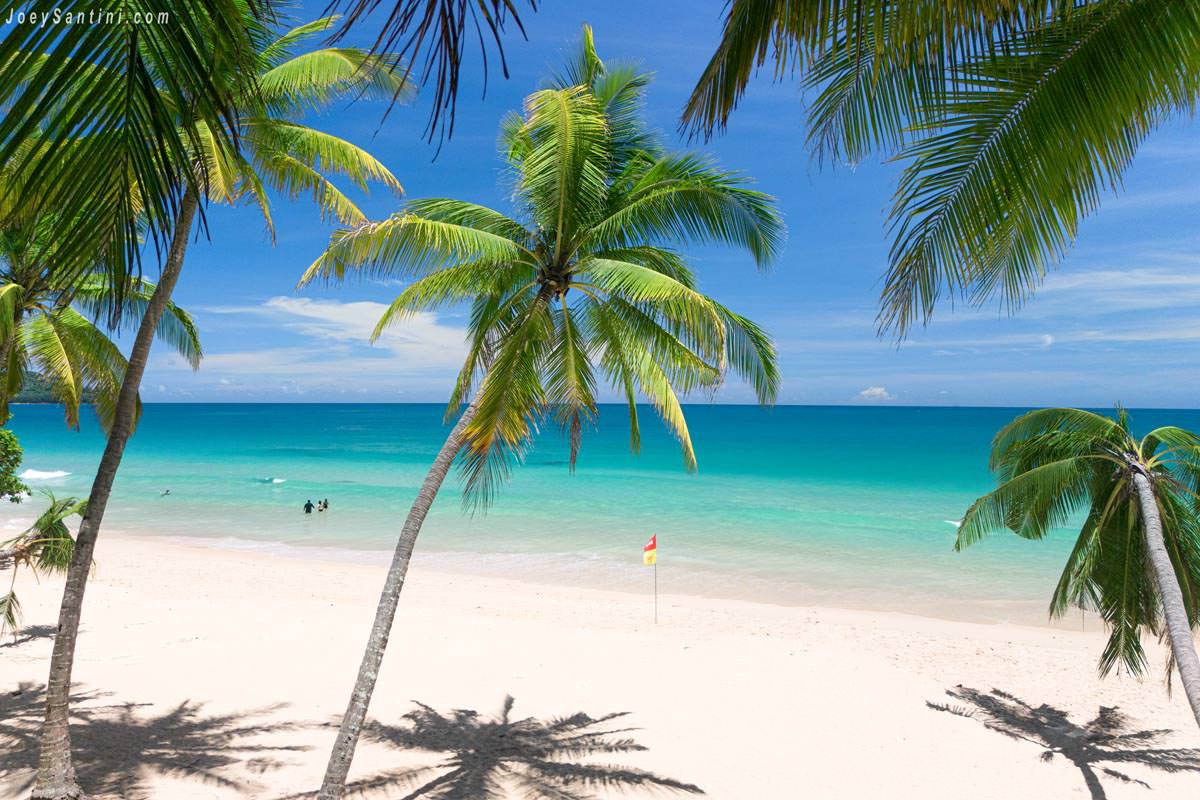 An elevated view of tropical coconut palm trees framing a pristine white sand beach and turquoise ocean at Surin Beach