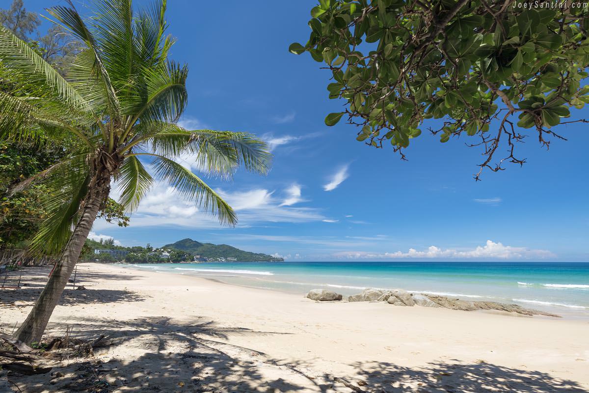 A leaning palm tree and coastal rocks on the white sand of Surin Beach, Phuket, overlooking turquoise water