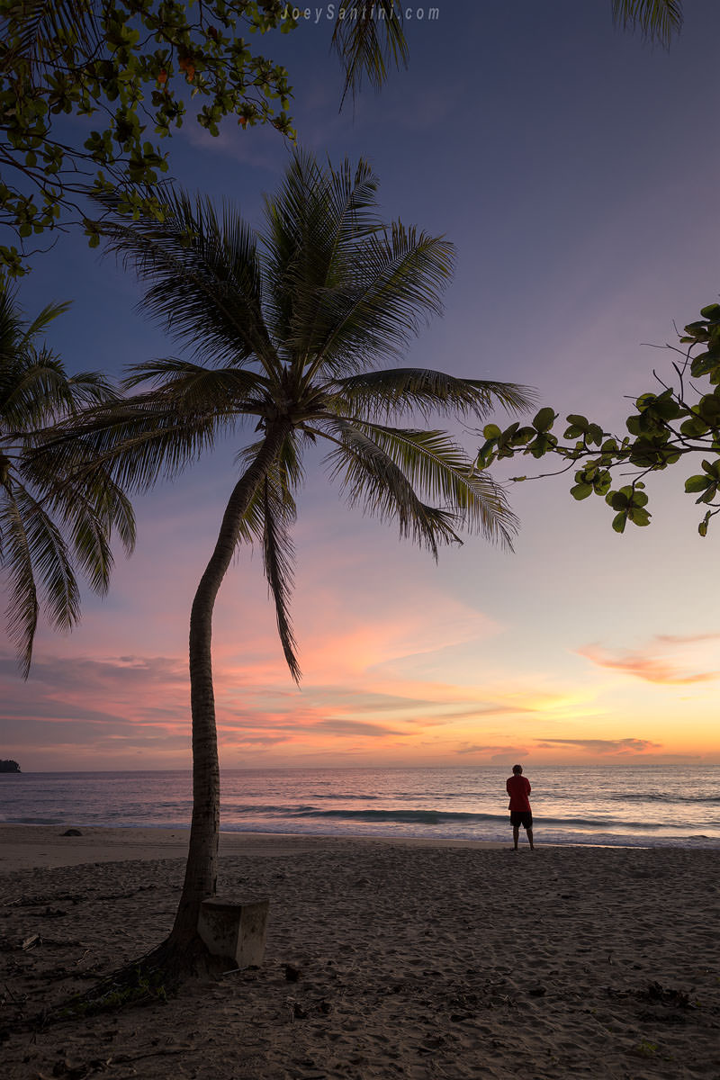 Vibrant pink and purple sunset sky over Surin Beach in Phuket with a single palm tree silhouette.