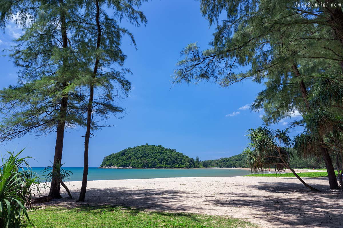 Casuarina pine trees framing the view of koh kala island at layan beach phuket