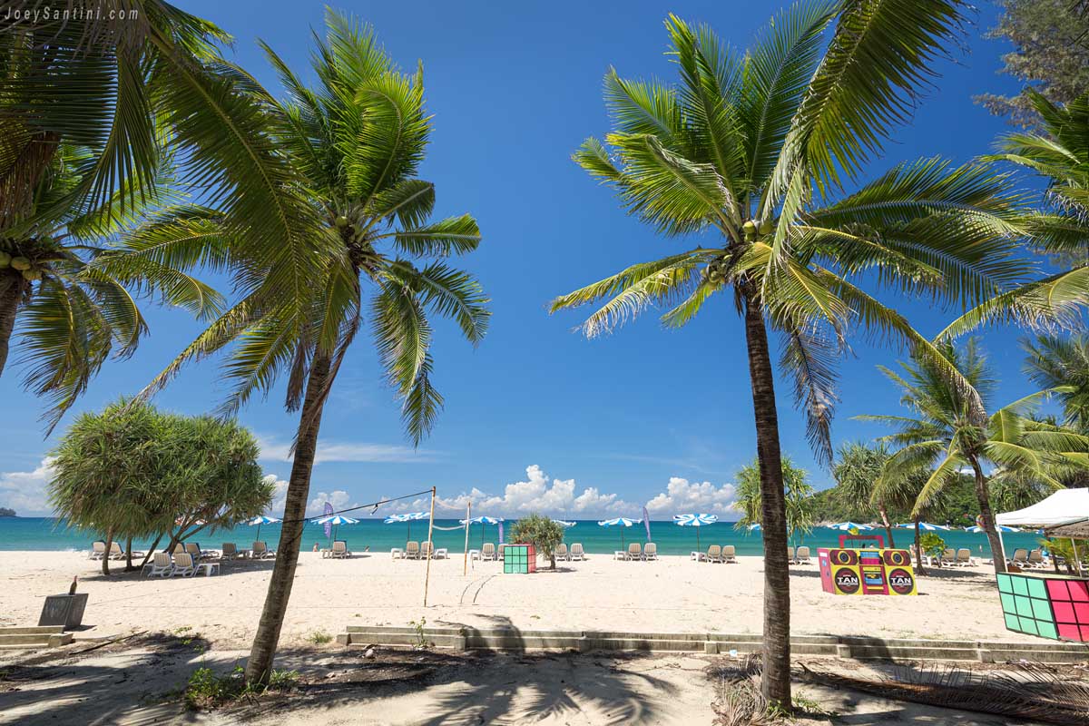 Tall coconut palm trees framing the beach entry at layan beach phuket