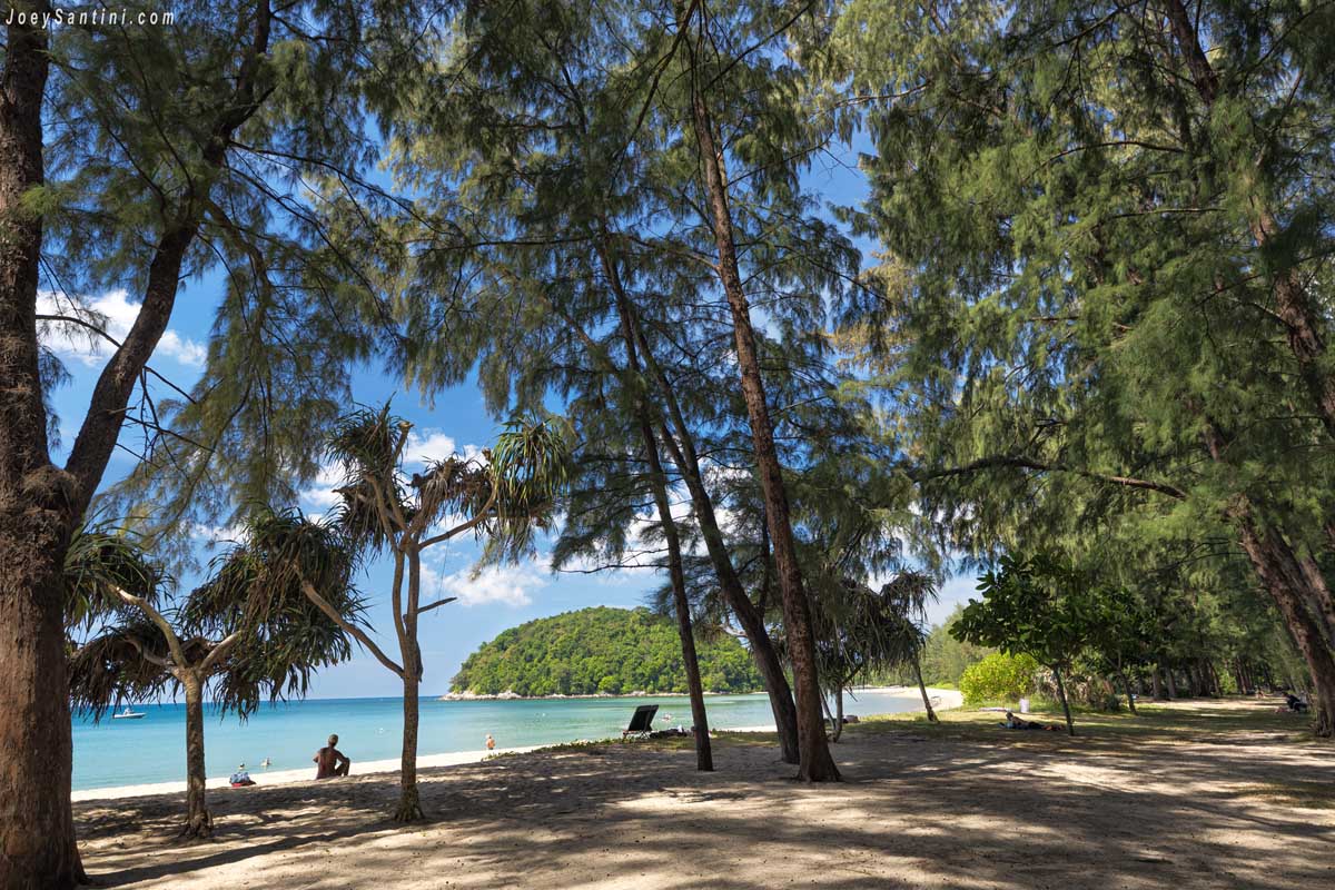 view of ocean and island from the shade of casuarina pine trees at layan beach phuket