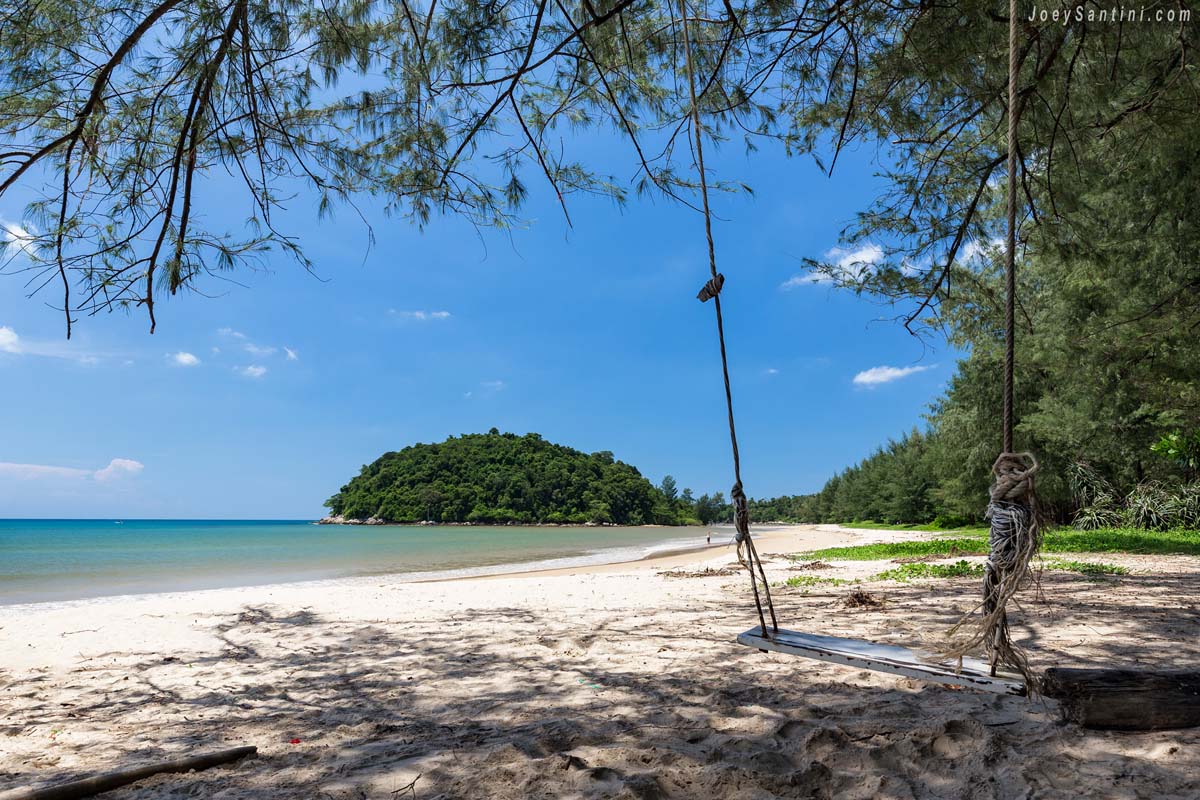 Rustic rope swing hanging from pine tree on white sand at layan beach phuket