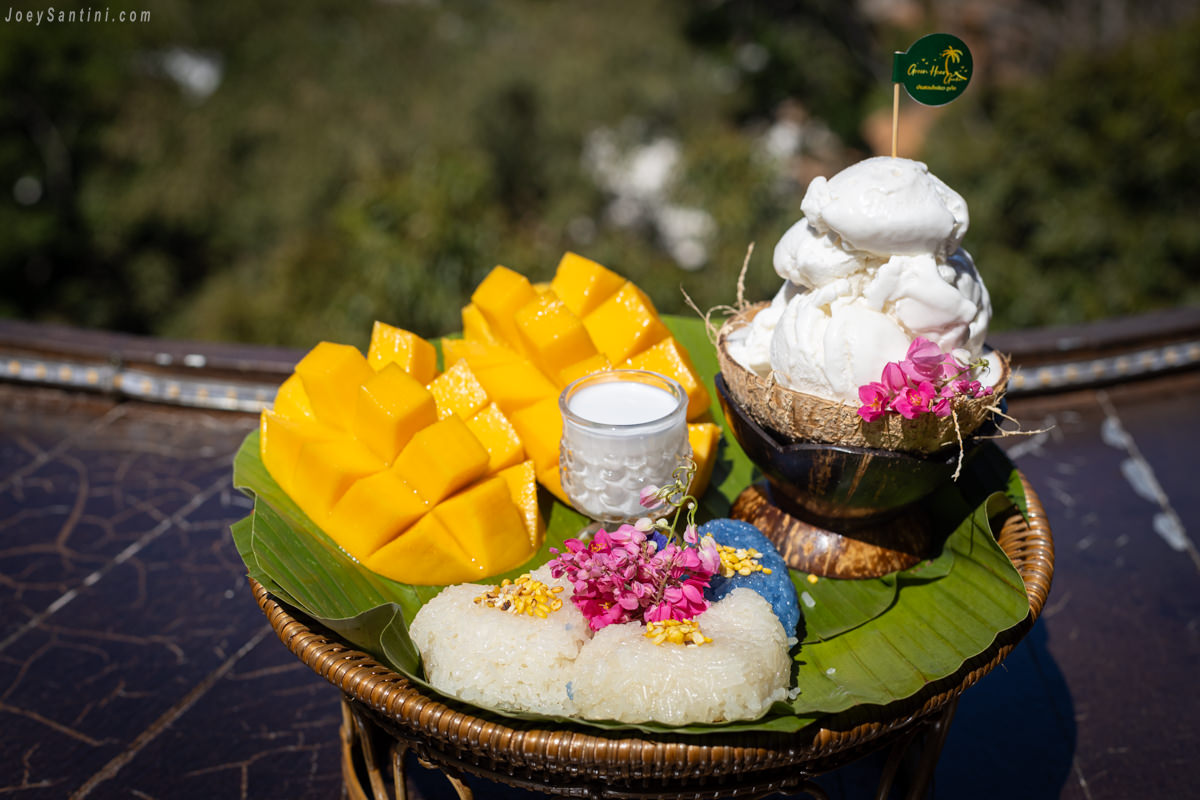 Thai mango sticky rice served with coconut ice cream in a coconut shell at Greenheart Garden Phuket