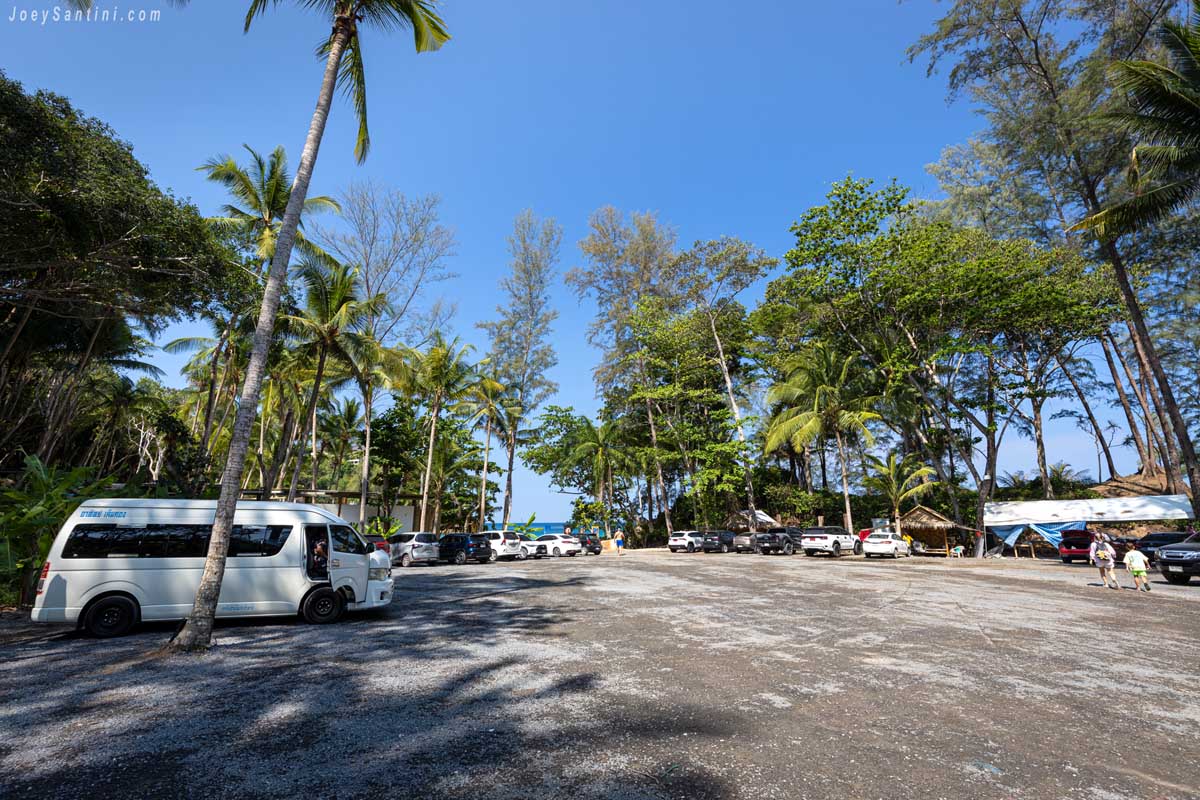 Shaded parking lot surrounded by tall palm trees and tropical green jungle