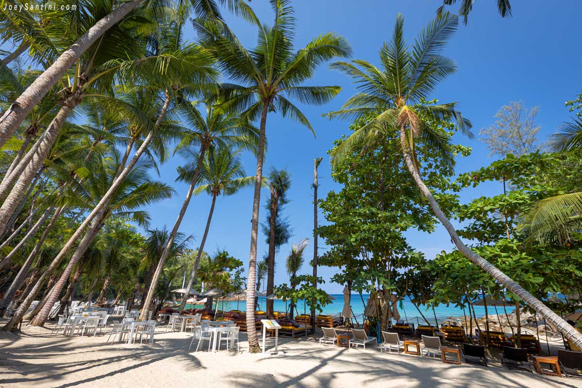 Wooden sunbeds and beach chairs neatly arranged under tall palm trees on the white sand of Banana Beach