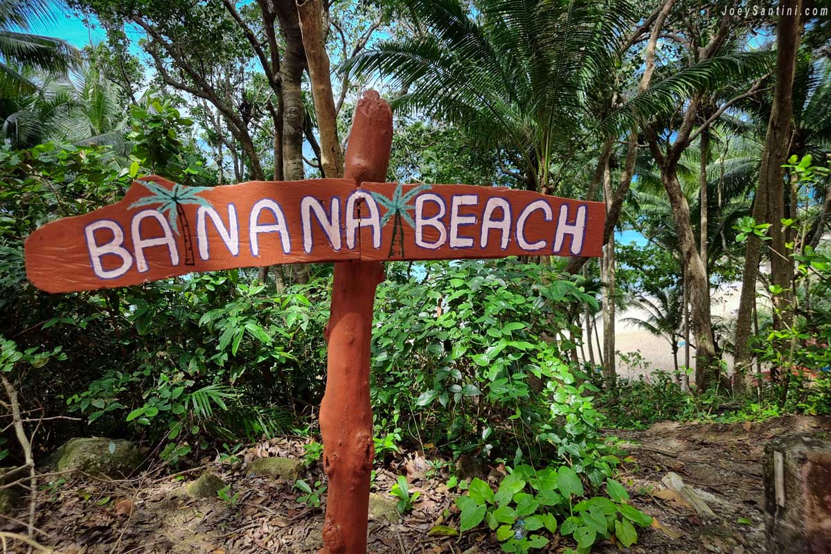 A rustic wooden sign that reads Banana Beach set among lush tropical jungle greenery in Phuket