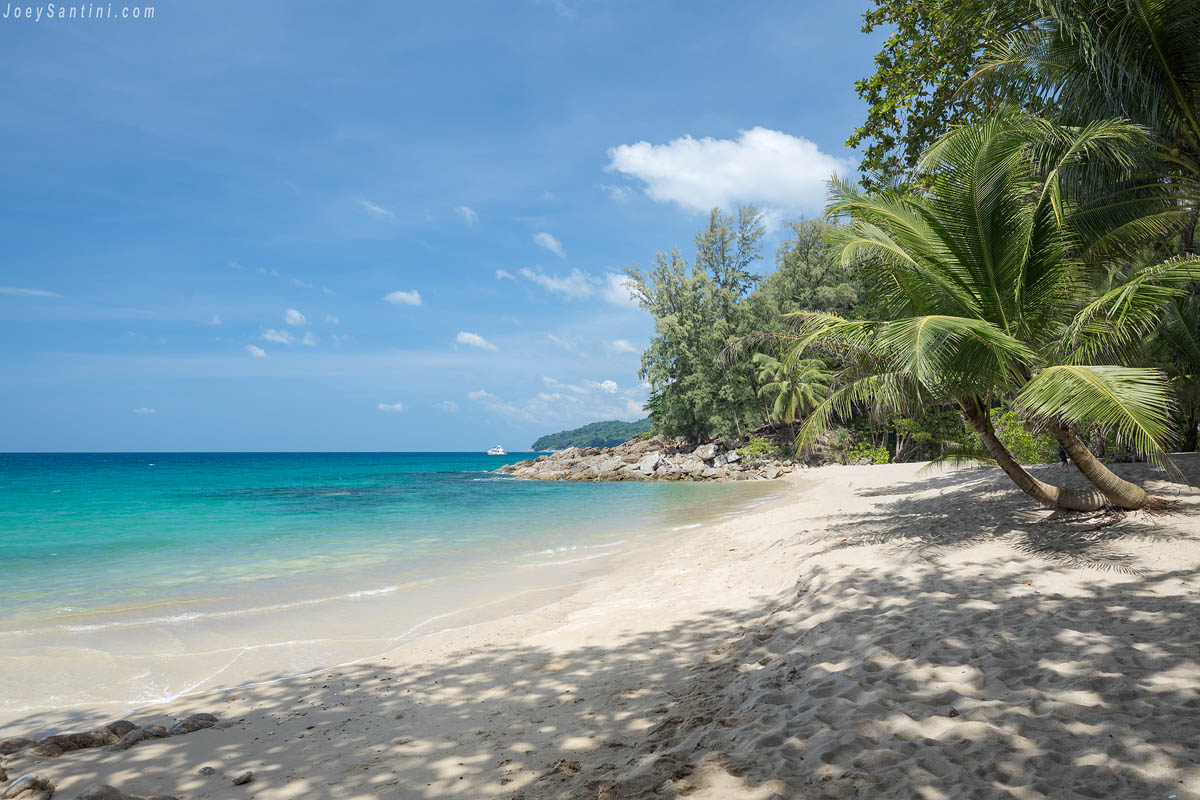 Leaning coconut palm trees casting shadows on the white sand of Banana Beach Phuket
